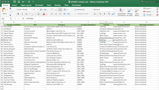 excel file